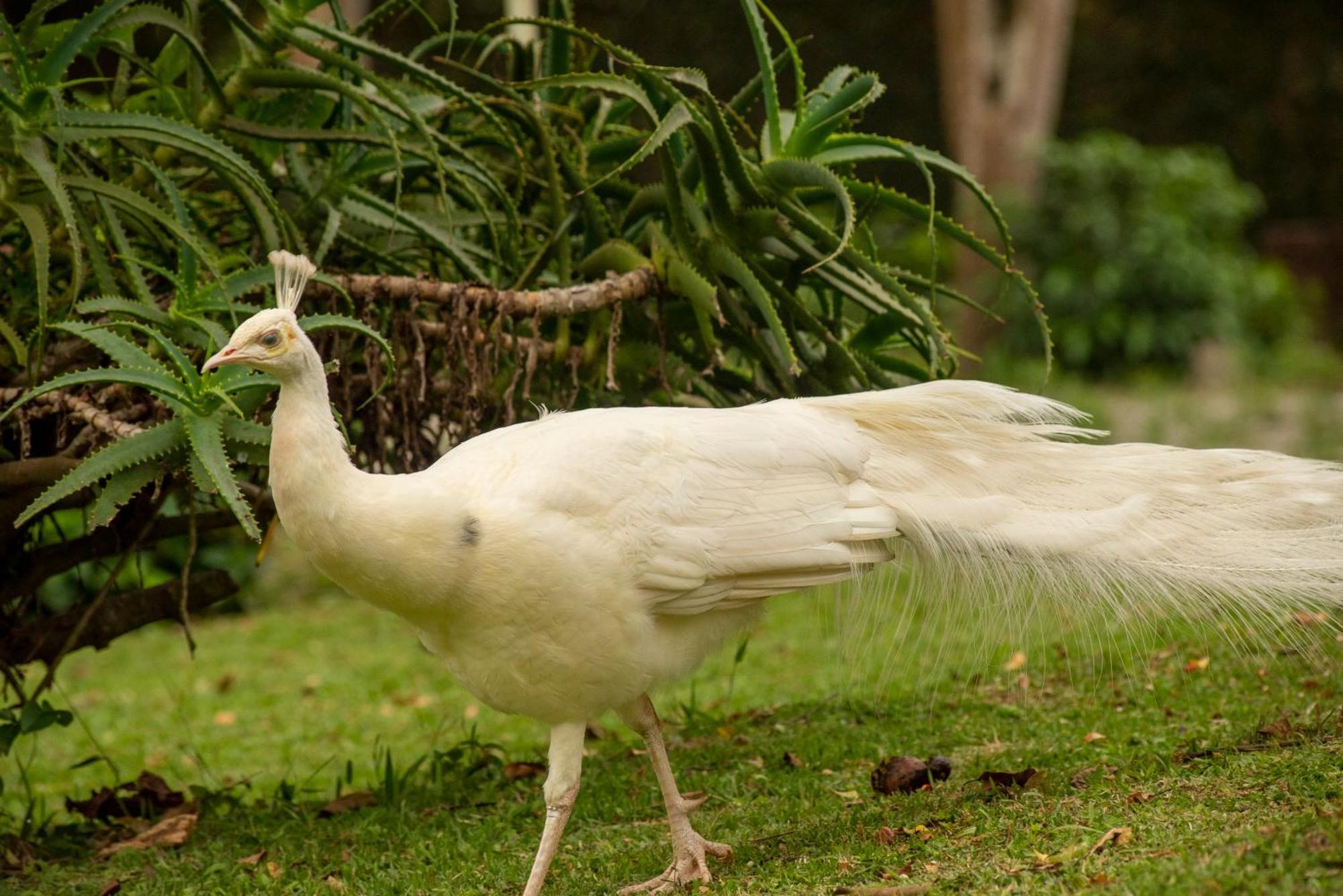 Florianópolis Pousada Chacara Rio Jordao מראה חיצוני תמונה